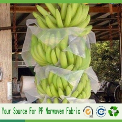 bananier de Chine fabrication protéger sac