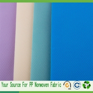 non woven polypropylene fabric