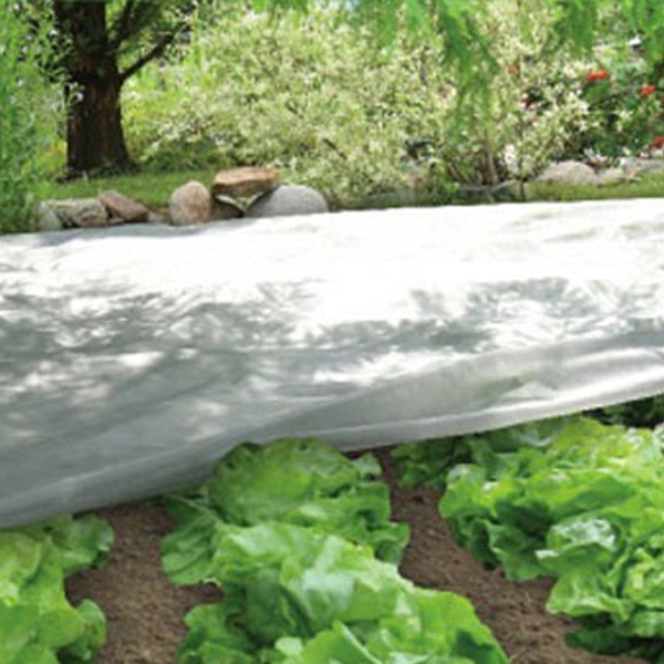 Fabric Nonwoven for Agriculture